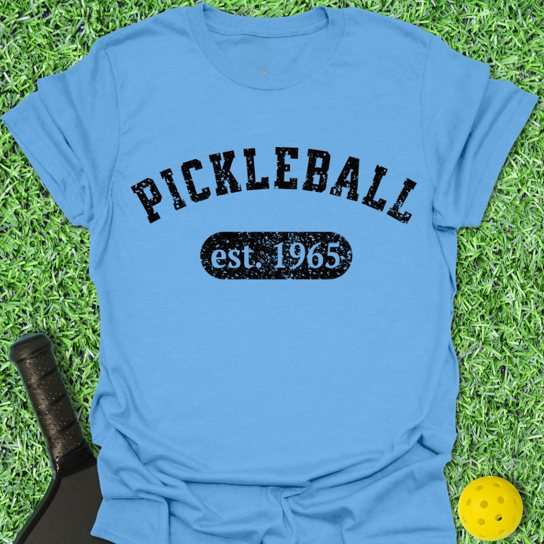 Established 1965 T-Shirt
